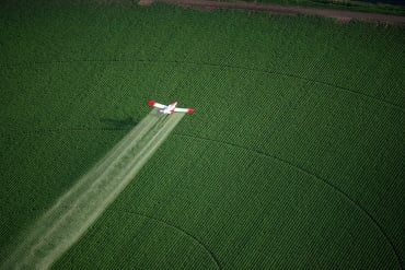 Đổi mới trong hoạt động đào tạo và xu hướng phát triển của VACPA