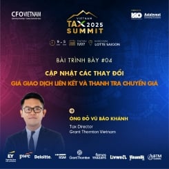 Vietnam Tax Summit 2025